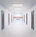 Spoons – Echoes CD